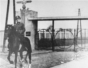 janowska concentration camp