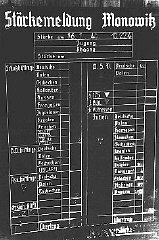 Chart indicating the workforce of the Auschwitz-Monowitz...