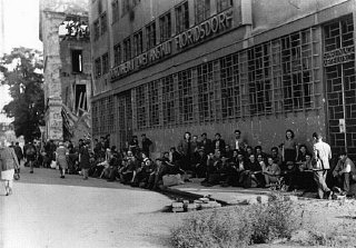 Chegada de sobreviventes judeus poloneses em Viena...