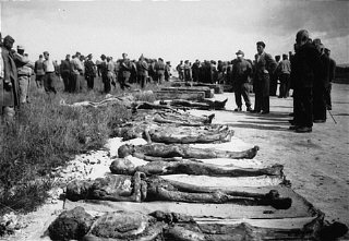 Local Germans are forced to view bodies of victims...