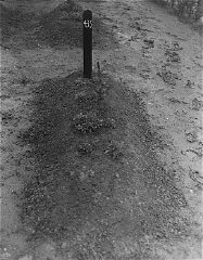 View of one of the mass graves at the Hadamar Insti...