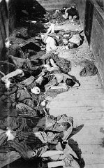 Corpses lie in one of the open railcars of the Dachau...