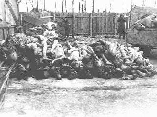 Pilha de corpos no campo de concentração de Buchenw...