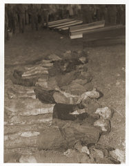 The bodies of Jewish women exhumed from a mass grave...
