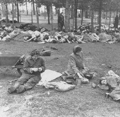 Soon after liberation, women camp survivors prepare...