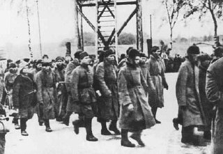 Soviet prisoners of war arrive at the Majdanek camp...