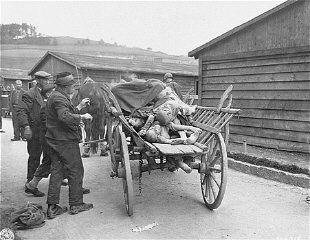 Civilians load corpses into wagons in preparation for...