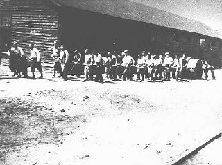 Jews at forced labor in a military camp in Sarajevo...