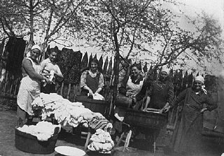 اعضای خانواده سالسشوتز در حال شستن لباس در حیاط خان...