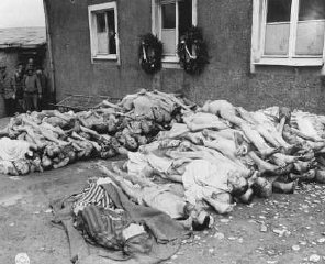 The bodies of former prisoners are stacked outside...
