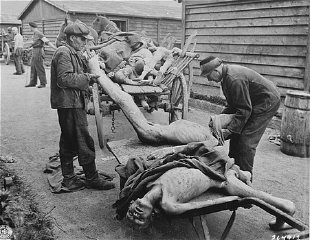 Victims of starvation are removed after US troops liberated...