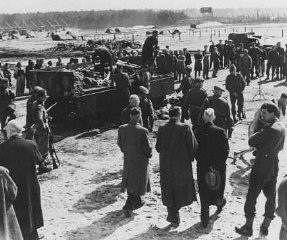 Après la libération du camp de Bergen-Belsen, des soldats...