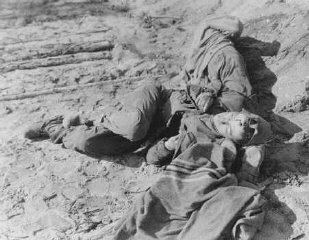 Polish and Russian forced laborers shot by the SS after...