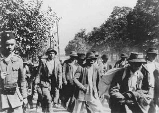 Deportation to the Jasenovac camp.