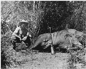 ارنست همینگوی در تور شکار حیوانات وحشی، حدود سال 19...