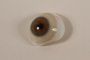 Glass eye found in the Paneriai Forest, Lithuania, outside of Vilnius