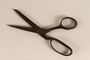 Small black painted scissors from the family capmaking business brought to the US by a Jewish refugee