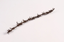 Barbed wire from a German POW camp