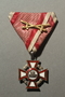 Medal with ribbon, case