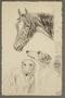 Drawing of dog and horse